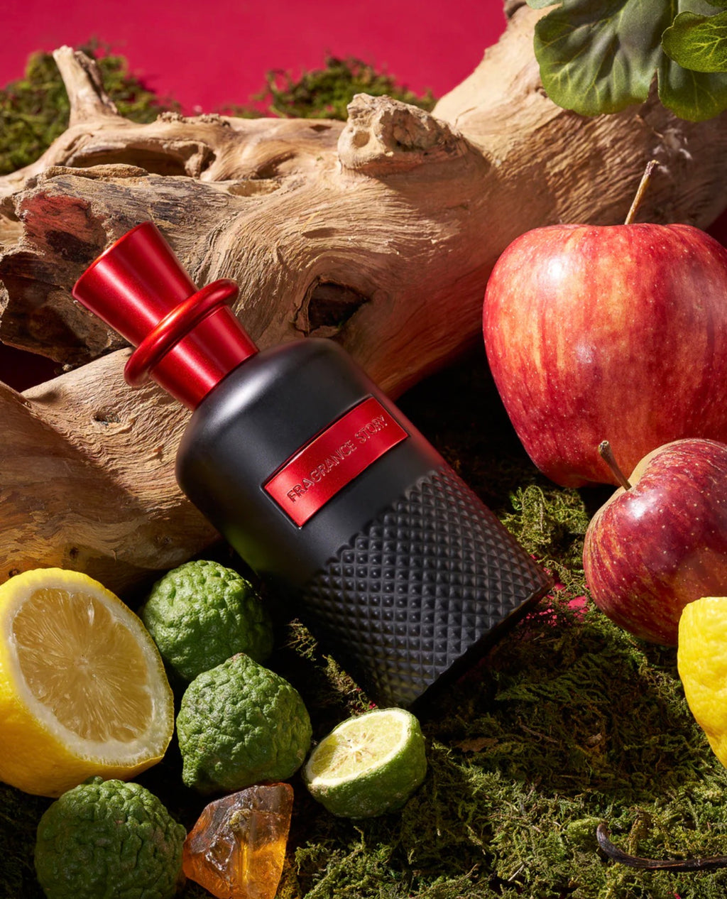 Fragrance Story Perfect 100 ml Parfum
